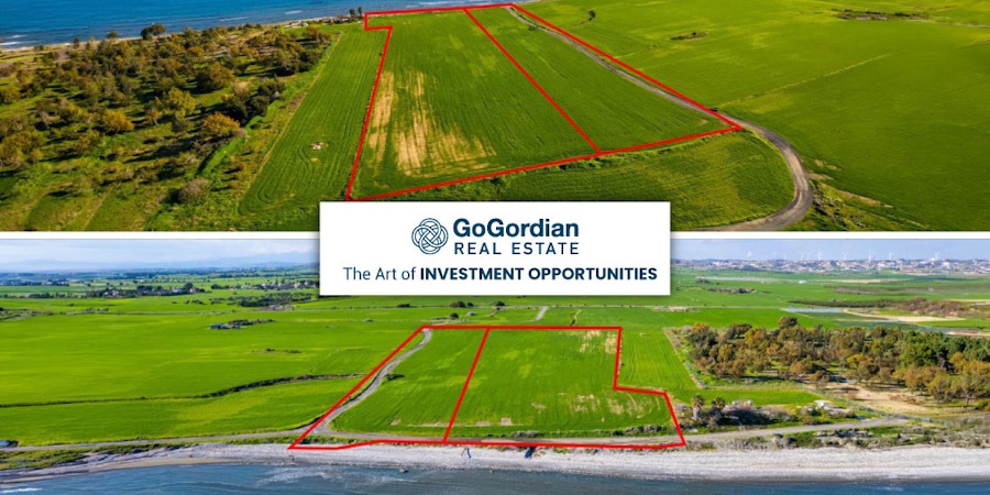 The Art of INVESTMENT OPPORTUNITIES