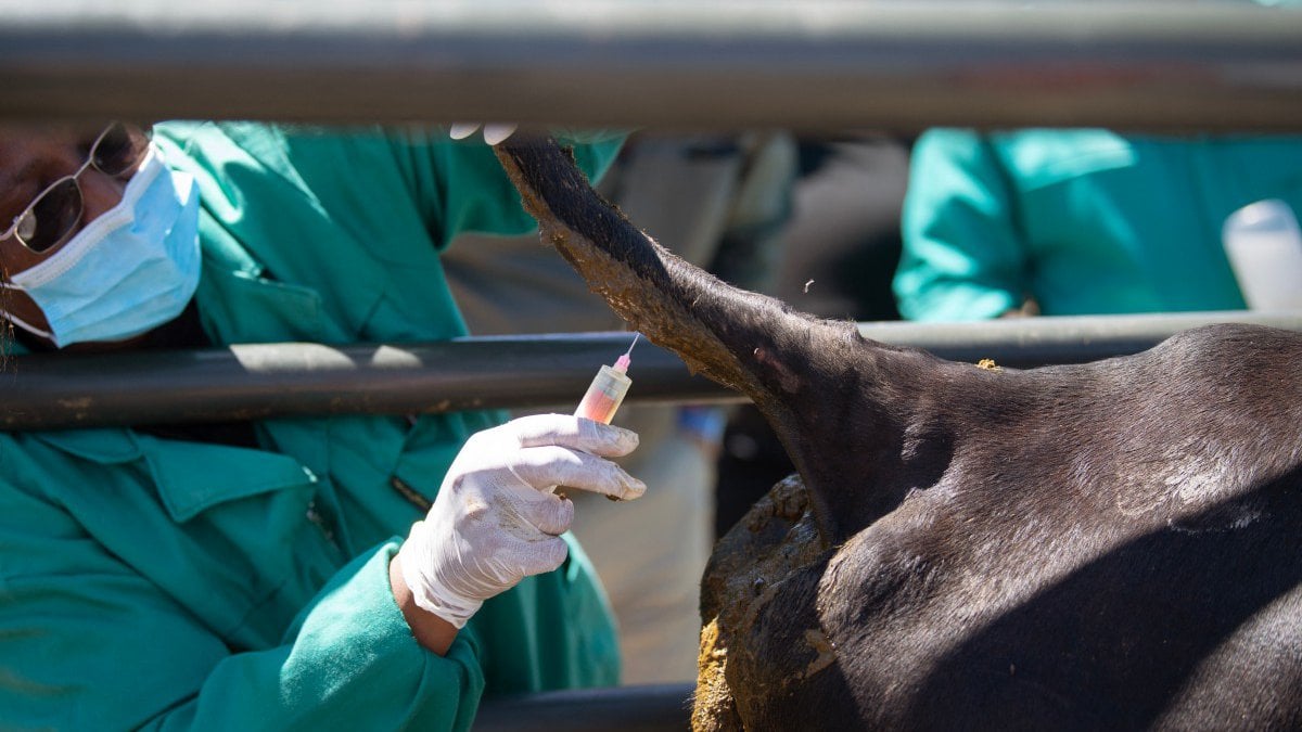 &Pi;&rho;&omicron;&beta;&lambda;&eta;&mu;&alpha;&tau;&iota;&sigma;&mu;ό&sigmaf; &gamma;&iota;&alpha; &tau;&eta; &delta;&iota;&alpha;&sigma;&pi;&omicron;&rho;ά &tau;&omicron;&upsilon; &alpha;&phi;&theta;ώ&delta;&eta; &pi;&upsilon;&rho;&epsilon;&tau;&omicron;ύ-&laquo;&Epsilon;&xi;&alpha;&pi;&lambda;ώ&nu;&epsilon;&tau;&alpha;&iota; &alpha;&sigma;&tau;&rho;&alpha;&pi;&iota;&alpha;ί&alpha;&raquo;