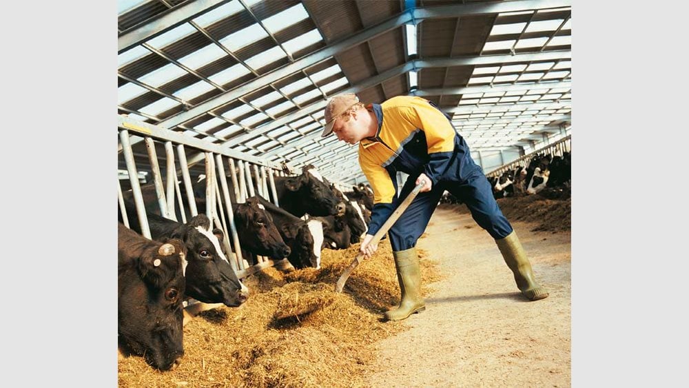 &Sigma;&tau;ή&rho;&iota;&xi;&eta; &kappa;&tau;&eta;&nu;&omicron;&tau;&rho;ό&phi;&omega;&nu;: &Alpha;&pi;ό &euro;6 &sigma;&epsilon; &euro;23 &epsilon;&kappa;&alpha;&tau;. &omicron; &pi;&rho;&omicron;ϋ&pi;&omicron;&lambda;&omicron;&gamma;&iota;&sigma;&mu;ό&sigmaf;