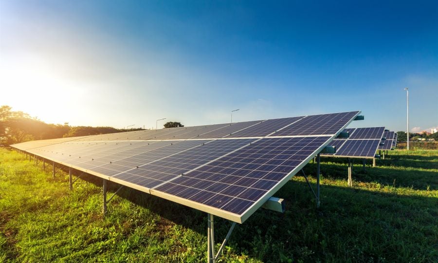 &Tau;&alpha; &phi;&omega;&tau;&omicron;&beta;&omicron;&lambda;&tau;&alpha;ϊ&kappa;ά &pi;&rho;&omega;&tau;&alpha;&gamma;&omega;&nu;&iota;&sigma;&tau;&omicron;ύ&nu; &sigma;&tau;&eta;&nu; &kappa;ά&lambda;&upsilon;&psi;&eta; &tau;&eta;&sigmaf; &pi;&alpha;&gamma;&kappa;ό&sigma;&mu;&iota;&alpha;&sigmaf; &zeta;ή&tau;&eta;&sigma;&eta;&sigmaf; &epsilon;&nu;έ&rho;&gamma;&epsilon;&iota;&alpha;&sigmaf;