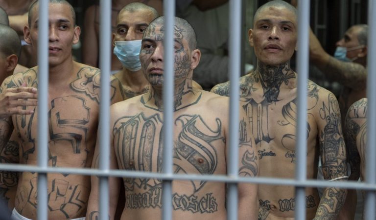 &Epsilon;&lambda; &Sigma;&alpha;&lambda;&beta;&alpha;&delta;ό&rho;: &Sigma;&tau;&omicron; &epsilon;&delta;ώ&lambda;&iota;&omicron; 500 &phi;&epsilon;&rho;ό&mu;&epsilon;&nu;&alpha; &mu;έ&lambda;&eta; &tau;&eta;&sigmaf; &sigma;&upsilon;&mu;&mu;&omicron;&rho;ί&alpha;&sigmaf; &laquo;&Mu;ά&rho;&alpha; &Sigma;&alpha;&lambda;&beta;&alpha;&tau;&rho;&omicron;ύ&tau;&sigma;&alpha;&raquo;