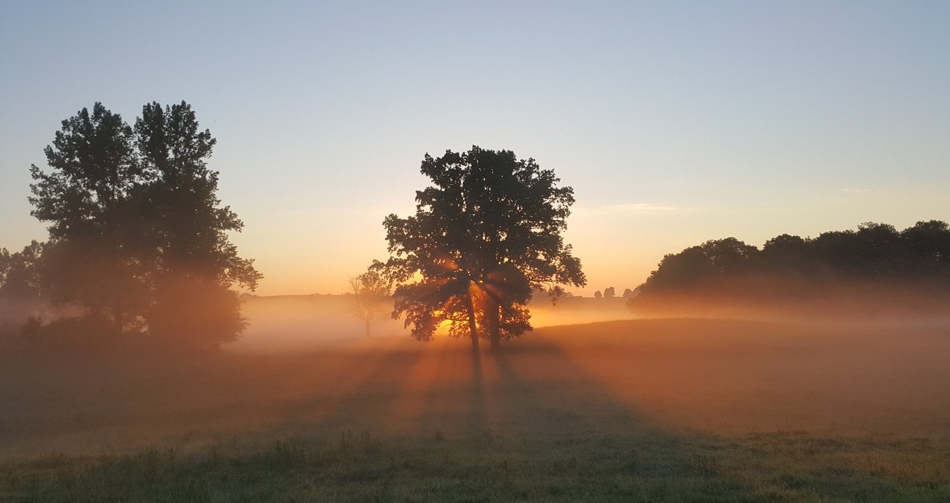 Ά&nu;&omicron;&delta;&omicron;&sigmaf; &theta;&epsilon;&rho;&mu;&omicron;&kappa;&rho;&alpha;&sigma;ί&alpha;&sigmaf; &kappa;&alpha;&iota; &sigma;&kappa;ό&nu;&eta; &sigma;&tau;&omicron; &laquo;&mu;&epsilon;&nu;&omicron;ύ&raquo; &tau;&omicron;&upsilon; &kappa;&alpha;&iota;&rho;&omicron;ύ