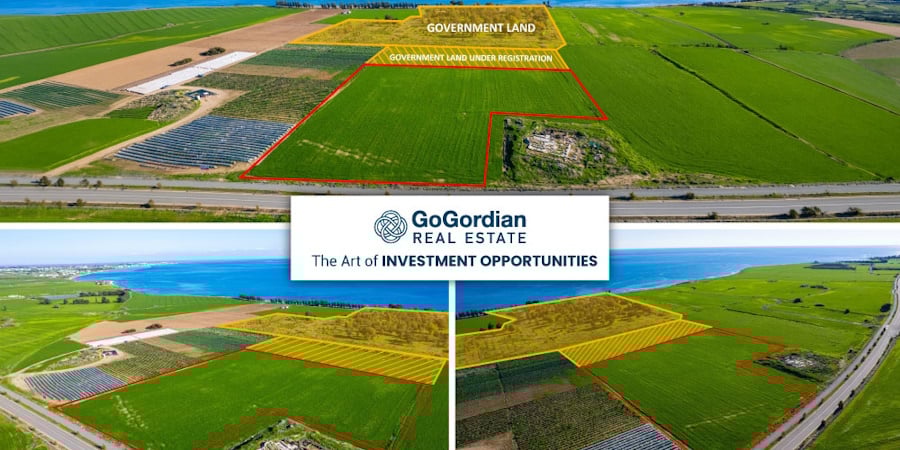 The Art of INVESTMENT OPPORTUNITIES