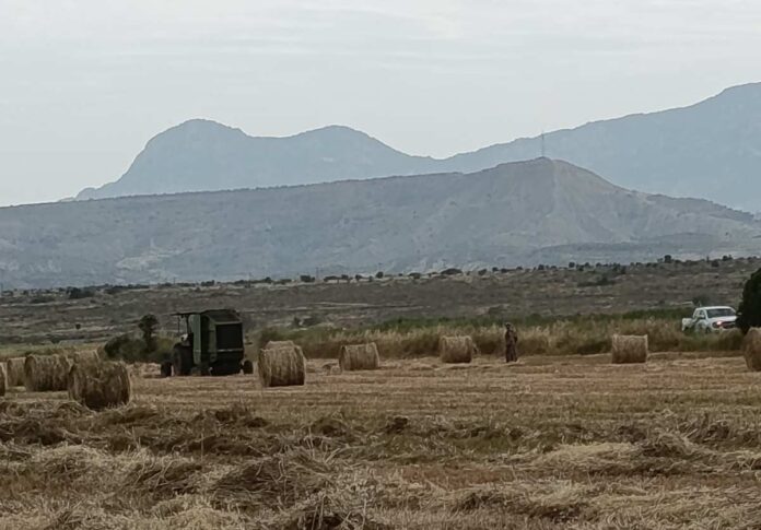Τούρκοι μπήκαν ξανά στην «παγωμένη περιοχή» της νεκρής ζώνης Αυλώνας (pics)