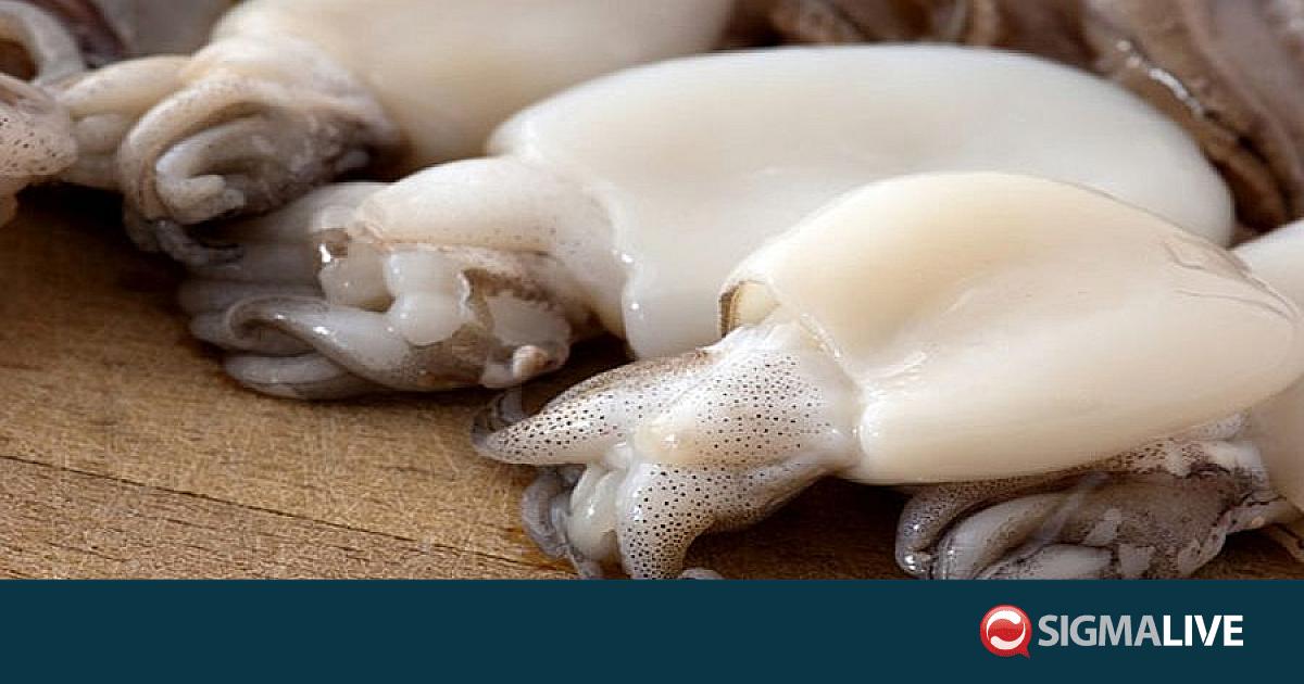 &Pi;&rho;&omicron;&sigma;&omicron;&chi;ή! &Alpha;&pi;&omicron;&sigma;ύ&rho;&omicron;&nu;&tau;&alpha;&iota; &kappa;&alpha;&tau;&epsilon;&psi;&upsilon;&gamma;&mu;έ&nu;&epsilon;&sigmaf; &sigma;&omicron;&upsilon;&pi;&iota;έ&sigmaf; &alpha;&pi;ό &tau;&eta;&nu; &alpha;&gamma;&omicron;&rho;ά (&Phi;&Omega;&Tau;&Omicron;)
