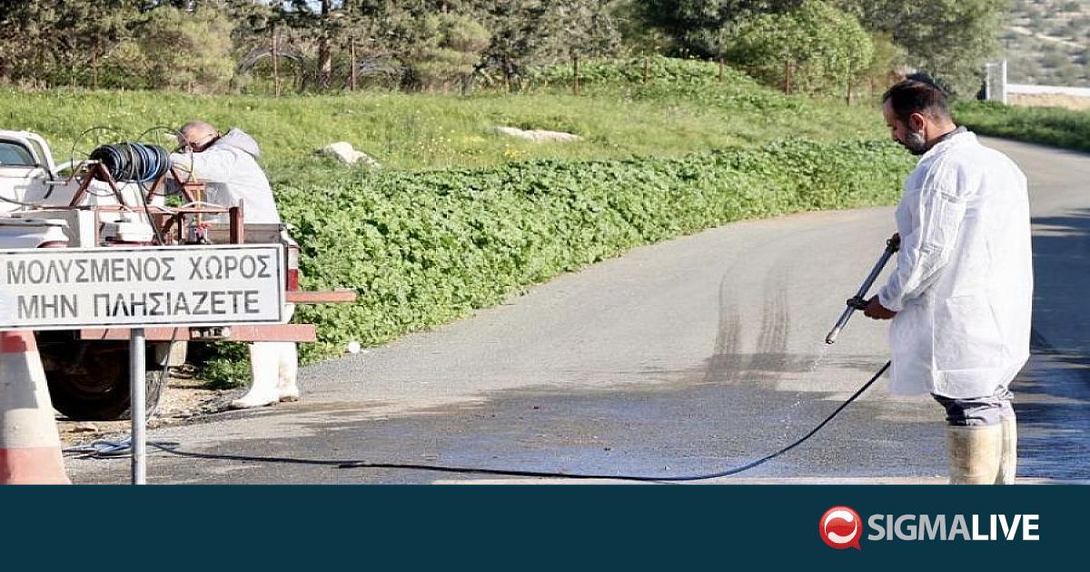 &Zeta;&eta;&tau;&omicron;ύ&nu; &sigma;&upsilon;&nu;ά&nu;&tau;&eta;&sigma;&eta; &mu;&epsilon; &Pi;&tau;&Delta; &omicron;&iota; &kappa;&tau;&eta;&nu;&omicron;&tau;&rho;ό&phi;&omicron;&iota;- &Alpha;&nu;&alpha;&zeta;&eta;&tau;&omicron;ύ&nu; &lambda;ύ&sigma;&epsilon;&iota;&sigmaf; &gamma;&iota;&alpha; &tau;&iota;&sigmaf; &theta;&alpha;&nu;&alpha;&tau;ώ&sigma;&epsilon;&iota;&sigmaf;
