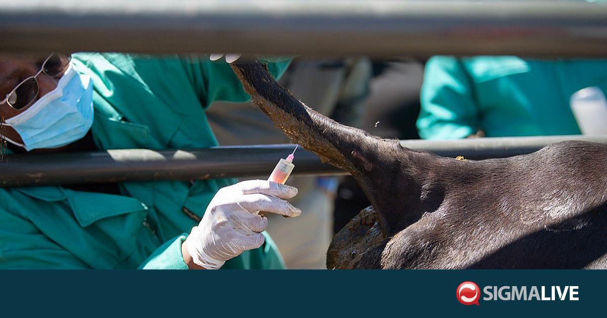 &Alpha;&phi;&theta;ώ&delta;&eta;&sigmaf;: &Alpha;&rho;&nu;&eta;&tau;&iota;&kappa;ά &delta;&epsilon;ί&gamma;&mu;&alpha;&tau;&alpha; &sigma;&epsilon; &mu;&omicron;&lambda;&upsilon;&sigma;&mu;έ&nu;&epsilon;&sigmaf; &mu;&omicron;&nu;ά&delta;&epsilon;&sigmaf;-&Sigma;&upsilon;&nu;&epsilon;&delta;&rho;ί&alpha;&sigma;&eta; &gamma;&iota;&alpha; &sigma;&pi;ά&nu;&iota;&epsilon;&sigmaf; &phi;&upsilon;&lambda;έ&sigmaf;