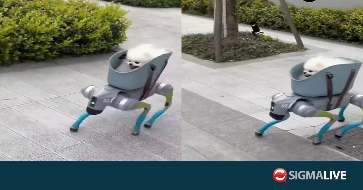 &Beta;&Iota;&Nu;&Tau;&Epsilon;&Omicron;: &Pi;&omicron;&mu;&epsilon;&rho;ά&nu;&iota;&alpha;&nu; &kappa;&omicron;&upsilon;&tau;ά&beta;&iota; &sigma;&tau;&eta;&nu; &Kappa;ί&nu;&alpha; &pi;&eta;&gamma;&alpha;ί&nu;&epsilon;&iota; &beta;ό&lambda;&tau;&alpha;... &laquo;&kappa;&alpha;&beta;&alpha;&lambda;ώ&nu;&tau;&alpha;&sigmaf;&raquo; έ&nu;&alpha; &rho;&omicron;&mu;&pi;ό&tau;