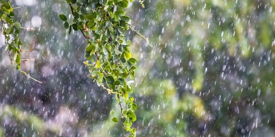 Αυτές οι περιοχές θα επηρεαστούν από βροχές - Αναλυτικά η πρόγνωση καιρού