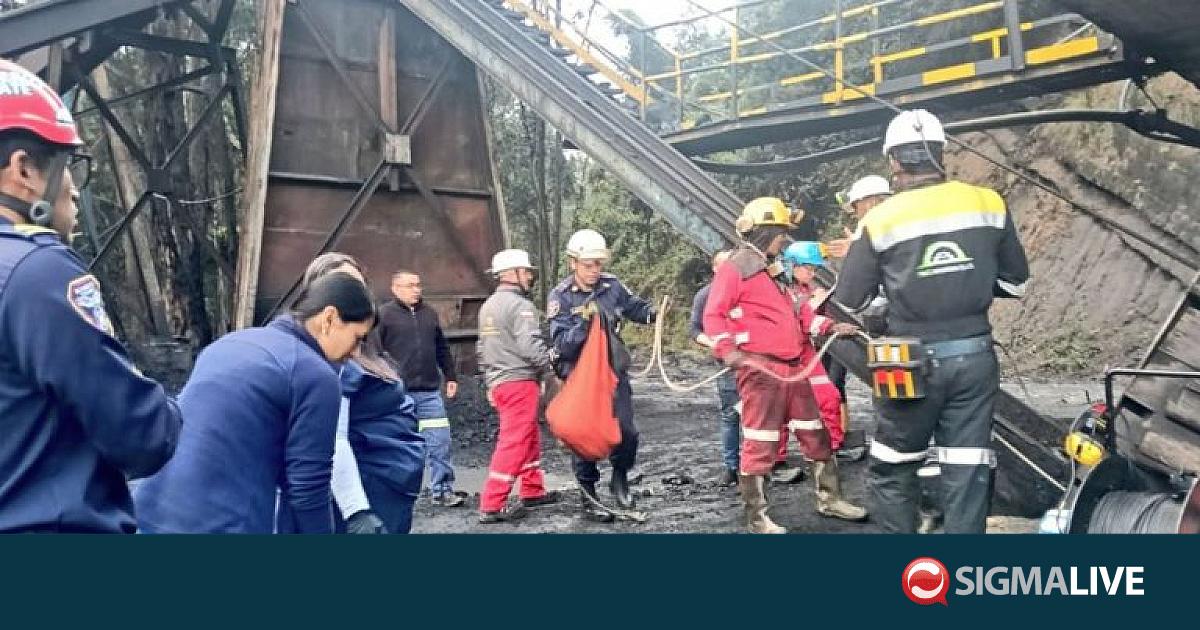 &Kappa;&omicron;&lambda;&omicron;&mu;&beta;ί&alpha;: 12 &alpha;&nu;&theta;&rho;&alpha;&kappa;&omega;&rho;ύ&chi;&omicron;&iota; &alpha;&gamma;&nu;&omicron;&omicron;ύ&nu;&tau;&alpha;&iota; &mu;&epsilon;&tau;ά &alpha;&pi;ό έ&kappa;&rho;&eta;&xi;&eta; &sigma;&epsilon; &omicron;&rho;&upsilon;&chi;&epsilon;ί&omicron; (&Phi;&Omega;&Tau;&Omicron;)