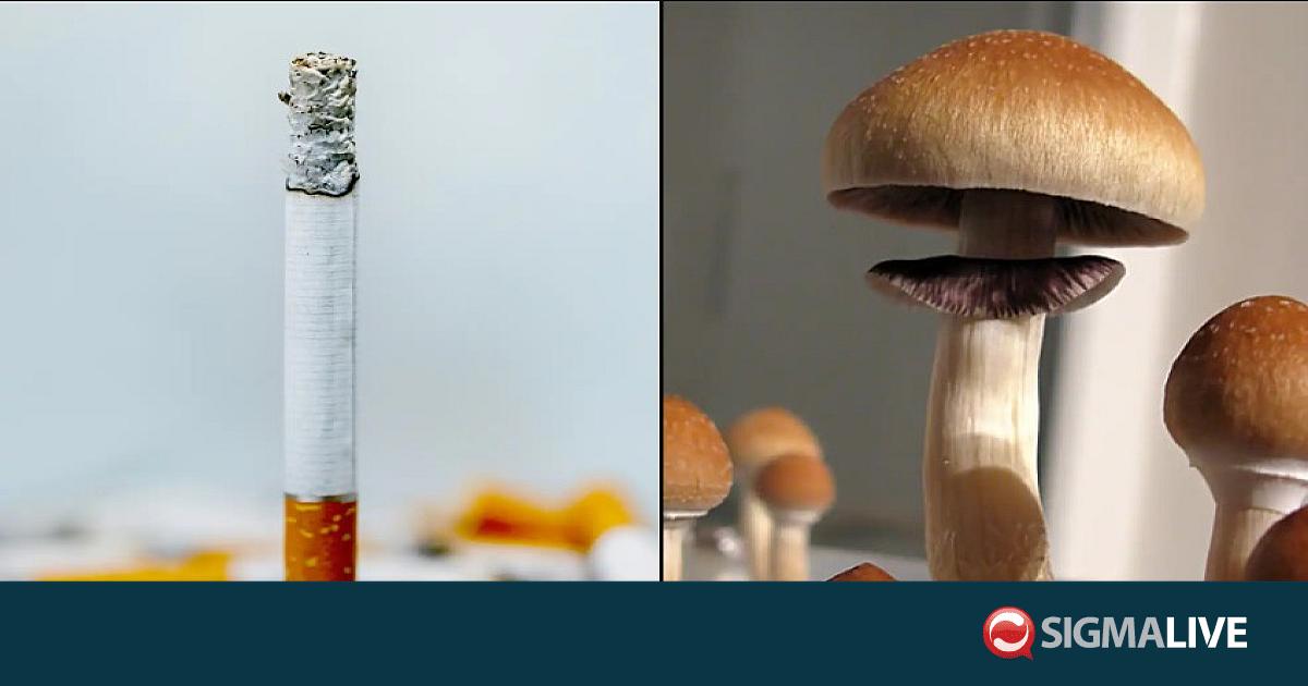 &laquo;&Mu;&alpha;&gamma;&iota;&kappa;ά &mu;&alpha;&nu;&iota;&tau;ά&rho;&iota;&alpha;&raquo; &tau;&omicron; &kappa;&lambda;&epsilon;&iota;&delta;ί &kappa;&alpha;&tau;ά &tau;&omicron;&upsilon; &kappa;&alpha;&pi;&nu;ί&sigma;&mu;&alpha;&tau;&omicron;&sigmaf;; &ndash; &Tau;&iota; &delta;&epsilon;ί&chi;&nu;&epsilon;&iota; &nu;έ&alpha; έ&rho;&epsilon;&upsilon;&nu;&alpha;