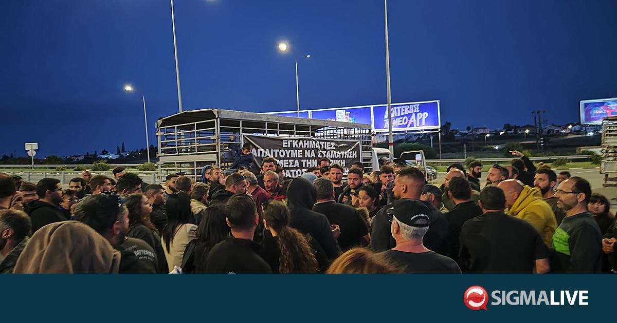 &Kappa;&tau;&eta;&nu;&omicron;&tau;&rho;ό&phi;&omicron;&iota;: &Alpha;&nu;&alpha;&sigma;&tau;&omicron;&lambda;ή &theta;&alpha;&nu;&alpha;&tau;ώ&sigma;&epsilon;&omega;&nu; &zeta;ώ&omega;&nu; ή &delta;&upsilon;&nu;&alpha;&mu;&iota;&kappa;έ&sigmaf; &kappa;&iota;&nu;&eta;&tau;&omicron;&pi;&omicron;&iota;ή&sigma;&epsilon;&iota;&sigmaf;