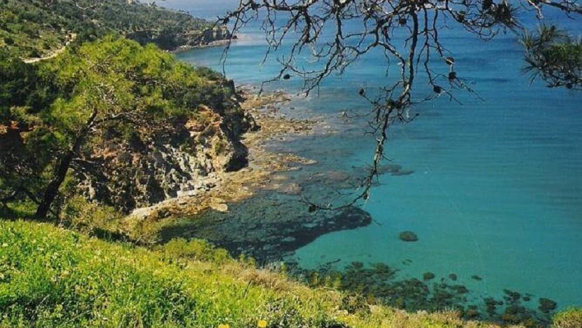 Οικολόγοι: Καταστροφικοί σχεδιασμοί σε Ακάμα-«Δεν είναι χώρος πειραματισμών»