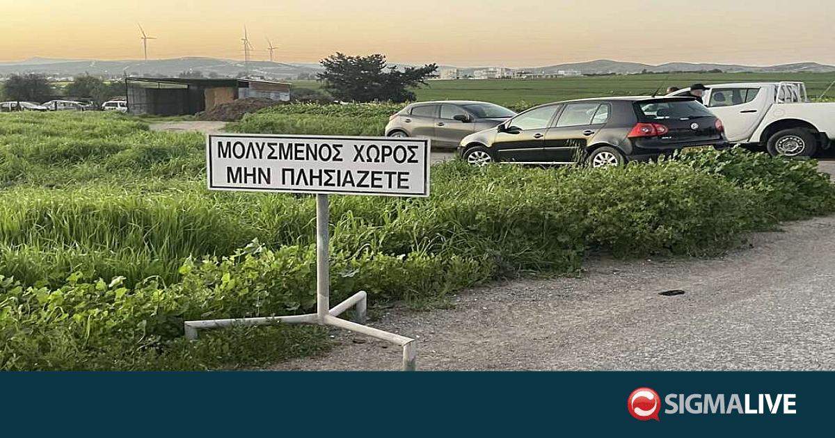 &Kappa;&omicron;&iota;&nu;ή &omicron;&mu;ά&delta;&alpha; &Kappa;ύ&pi;&rho;&omicron;&upsilon;&ndash;&Epsilon;&lambda;&lambda;ά&delta;&alpha;&sigmaf; &gamma;&iota;&alpha; &alpha;&phi;&theta;ώ&delta;&eta;