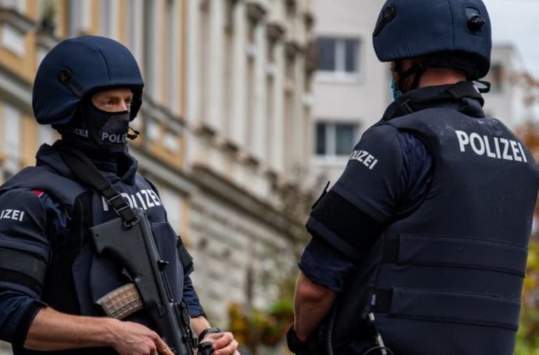&Gamma;&epsilon;&rho;&mu;&alpha;&nu;ί&alpha;: &Epsilon;&pi;&iota;&delta;&rho;&omicron;&mu;έ&sigmaf; &tau;&eta;&sigmaf; &alpha;&sigma;&tau;&upsilon;&nu;&omicron;&mu;ί&alpha;&sigmaf; &gamma;&iota;&alpha; &sigma;ύ&lambda;&lambda;&eta;&psi;&eta; &alpha;&kappa;&rho;&omicron;&delta;&epsilon;&xi;&iota;ώ&nu; &epsilon;&xi;&tau;&rho;&epsilon;&mu;&iota;&sigma;&tau;ώ&nu;