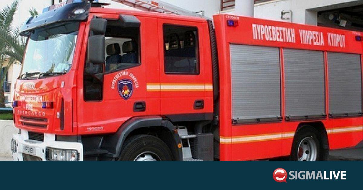 Έ&pi;&epsilon;&sigma;&epsilon; &sigma;&kappa;&upsilon;&lambda;ά&kappa;&iota; &sigma;&epsilon; &nu;&epsilon;&rho;ό&lambda;&alpha;&kappa;&kappa;&omicron; 8&mu;. &sigma;&tau;&eta; &Lambda;&epsilon;&upsilon;&kappa;&omega;&sigma;ί&alpha; &ndash; &Delta;&iota;&alpha;&sigma;ώ&theta;&eta;&kappa;&epsilon; &alpha;&pi;ό &tau;&eta;&nu; &Pi;&upsilon;&rho;&omicron;&sigma;&beta;&epsilon;&sigma;&tau;&iota;&kappa;ή