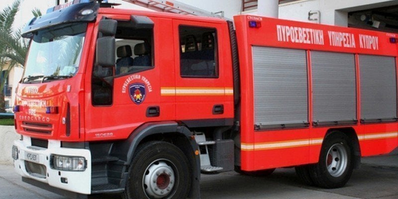 Έπεσε σκυλάκι σε νερόλακκο 8μ. στη Λευκωσία – Διασώθηκε από την Πυροσβεστική