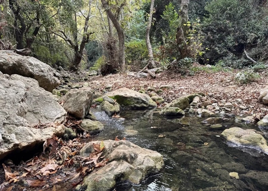 Τμ. Δασών: Παραμένει κλειστό για επισκέπτες το «Φαράγγι του Άβακα»