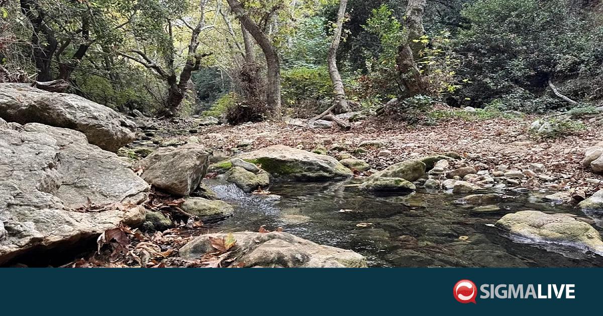 &Tau;&mu;. &Delta;&alpha;&sigma;ώ&nu;: &Pi;&alpha;&rho;&alpha;&mu;έ&nu;&epsilon;&iota; &kappa;&lambda;&epsilon;&iota;&sigma;&tau;ό &gamma;&iota;&alpha; &epsilon;&pi;&iota;&sigma;&kappa;έ&pi;&tau;&epsilon;&sigmaf; &tau;&omicron; &laquo;&Phi;&alpha;&rho;ά&gamma;&gamma;&iota; &tau;&omicron;&upsilon; Ά&beta;&alpha;&kappa;&alpha;&raquo;