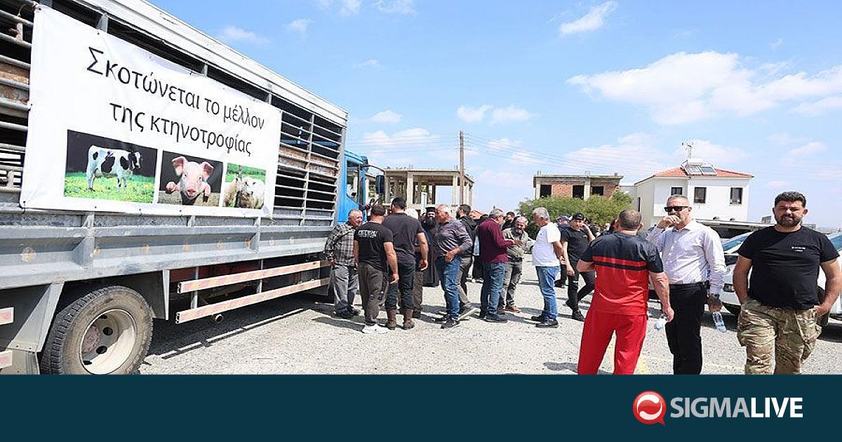 &Phi;&omega;&nu;ή &tau;&omega;&nu; &Kappa;&tau;&eta;&nu;&omicron;&tau;&rho;ό&phi;&omega;&nu;: &Alpha;&kappa;&upsilon;&rho;ώ&nu;&epsilon;&tau;&alpha;&iota; &eta; &delta;&iota;&alpha;&mu;&alpha;&rho;&tau;&upsilon;&rho;ί&alpha; &sigma;&tau;&eta; &Rho;&iota;&zeta;&omicron;&epsilon;&lambda;&iota;ά