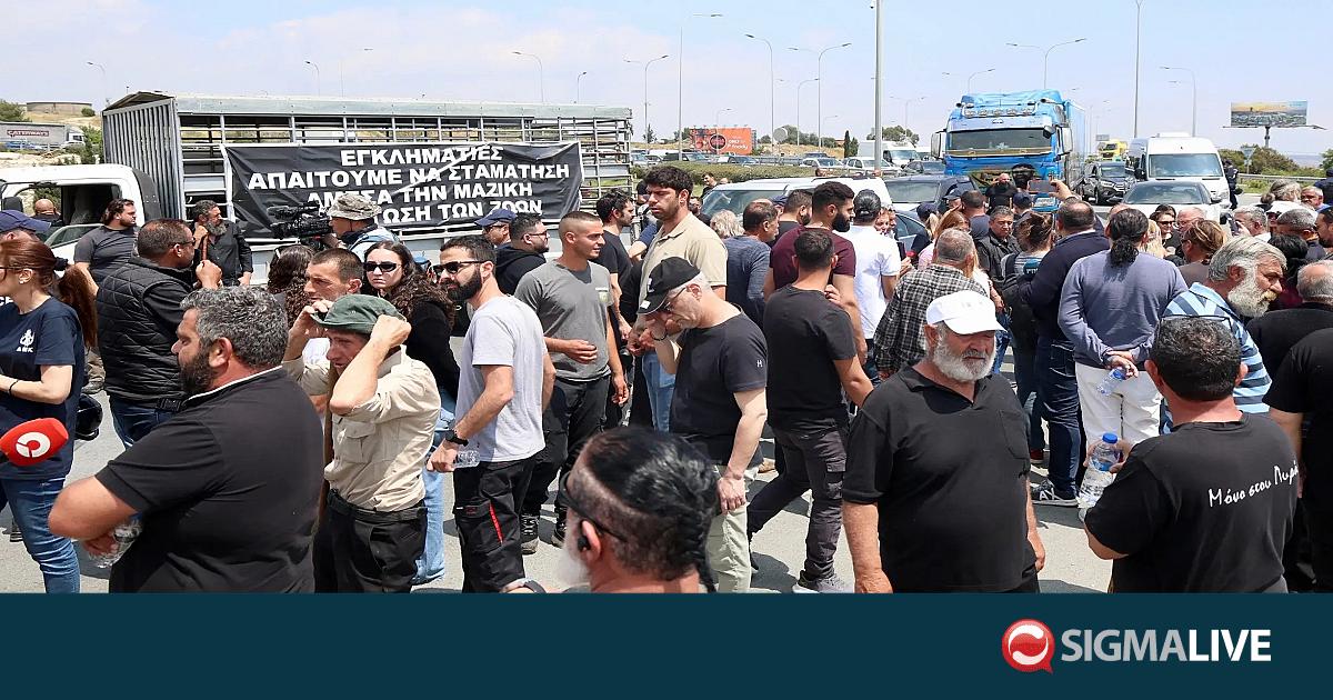&Pi;ώ&sigmaf; &alpha;&pi;&omicron;&phi;&epsilon;ύ&chi;&theta;&eta;&kappa;&epsilon; &eta; &kappa;&iota;&nu;&eta;&tau;&omicron;&pi;&omicron;ί&eta;&sigma;&eta; &sigma;&tau;&eta; &Rho;&iota;&zeta;&omicron;&epsilon;&lambda;&iota;ά- &laquo;&Mu;&alpha;&kappa;ά&rho;&iota; &nu;&alpha; &beta;ά&lambda;&omicron;&upsilon;&nu; &kappa;&alpha;&iota; 2&omicron; &epsilon;&xi;ώ&delta;&iota;&kappa;&omicron;&raquo;
