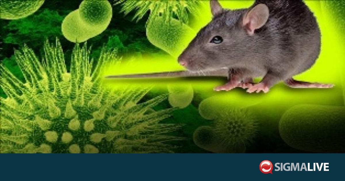 &laquo;&Delta;&epsilon;&nu; &epsilon;ί&nu;&alpha;&iota; Covid&raquo;: &Tau;&iota; &lambda;έ&nu;&epsilon; &omicron;&iota; &epsilon;&iota;&delta;&iota;&kappa;&omicron;ί &gamma;&iota;&alpha; &tau;&omicron;&nu; &chi;&alpha;&nu;&tau;&alpha;ϊό