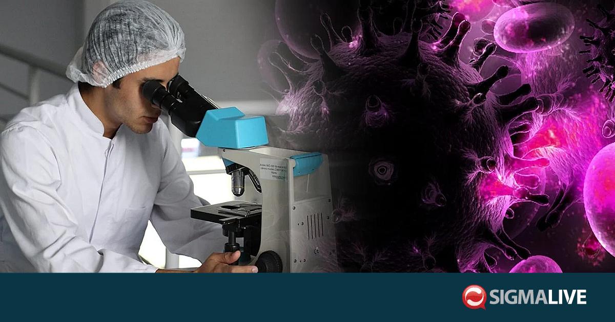 &Pi;&Omicron;&Upsilon;: &Alpha;&pi;&omicron;&lambda;ύ&tau;&omega;&sigmaf; &chi;&alpha;&mu;&eta;&lambda;ό&sigmaf; &omicron; &kappa;ί&nu;&delta;&upsilon;&nu;&omicron;&sigmaf; &epsilon;&xi;ά&pi;&lambda;&omega;&sigma;&eta;&sigmaf; &chi;&alpha;&nu;&tau;&alpha;ϊ&omicron;ύ &gamma;&iota;&alpha; &tau;&omicron;&nu; &pi;&alpha;&gamma;&kappa;ό&sigma;&mu;&iota;&omicron; &pi;&lambda;&eta;&theta;&upsilon;&sigma;&mu;ό