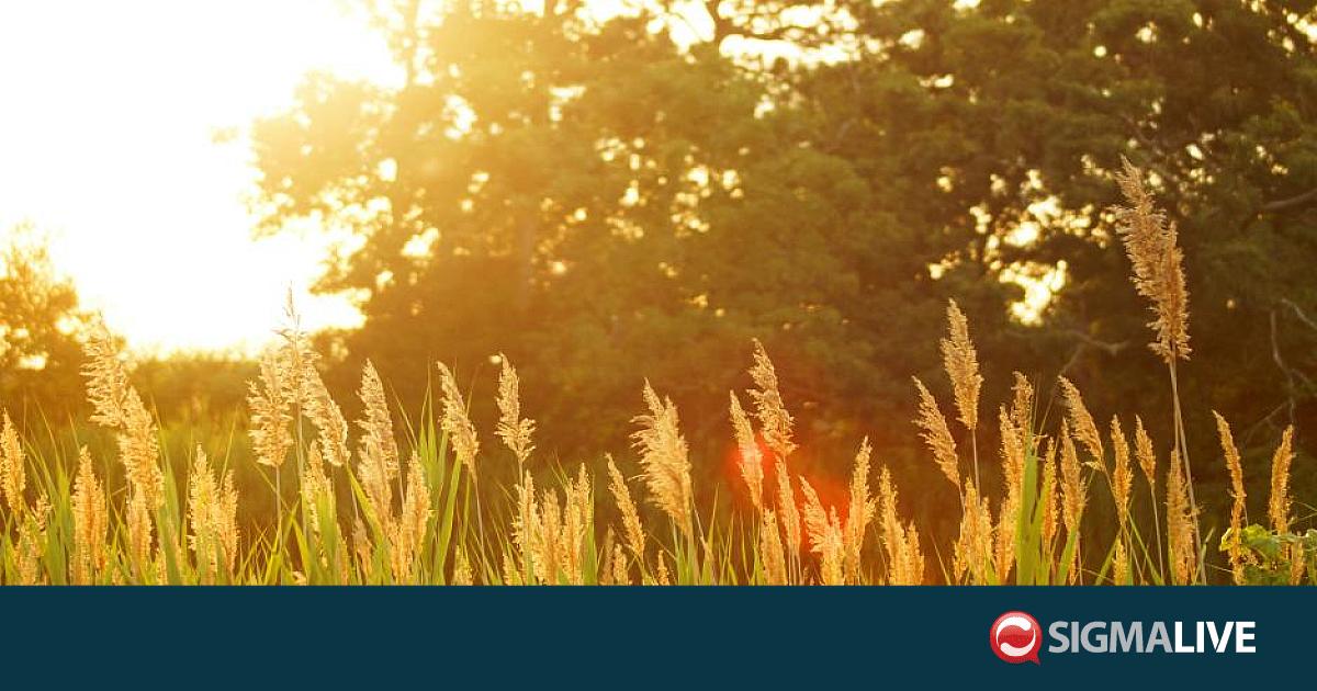 &Zeta;έ&sigma;&tau;&eta; &kappa;&alpha;&iota; &sigma;&kappa;ό&nu;&eta;: &Sigma;&tau;&omicron;&upsilon;&sigmaf; 31 &beta;&alpha;&theta;&mu;&omicron;ύ&sigmaf; &eta; &theta;&epsilon;&rho;&mu;&omicron;&kappa;&rho;&alpha;&sigma;ί&alpha; &tau;&omicron; &Sigma;&alpha;&beta;&beta;&alpha;&tau;&omicron;&kappa;ύ&rho;&iota;&alpha;&kappa;&omicron;