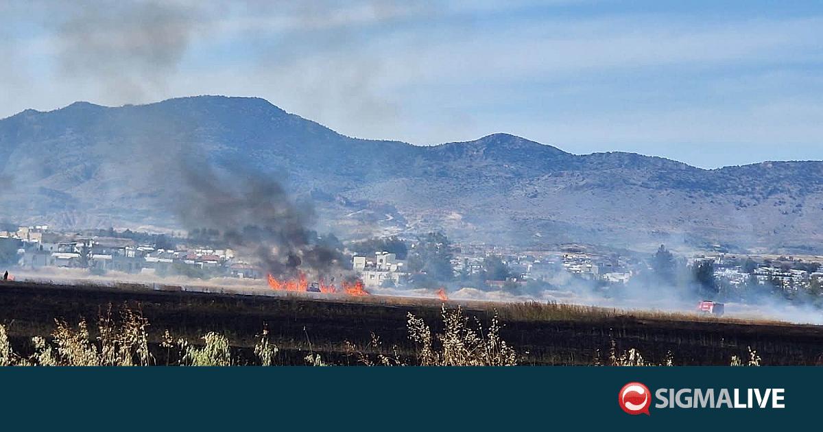 &Kappa;&alpha;&tau;&alpha;&gamma;&gamma;&epsilon;&lambda;ί&alpha; &gamma;&iota;&alpha; &tau;&eta;&nu; &pi;&upsilon;&rho;&kappa;&alpha;&gamma;&iota;ά &sigma;&tau;&eta; &nu;&epsilon;&kappa;&rho;ή &zeta;ώ&nu;&eta;- &laquo;Ή&rho;&theta;&epsilon; &mu;ό&nu;&omicron; έ&nu;&alpha; &pi;&upsilon;&rho;&omicron;&sigma;&beta;&epsilon;&sigma;&tau;&iota;&kappa;ό ό&chi;&eta;&mu;&alpha;&raquo;