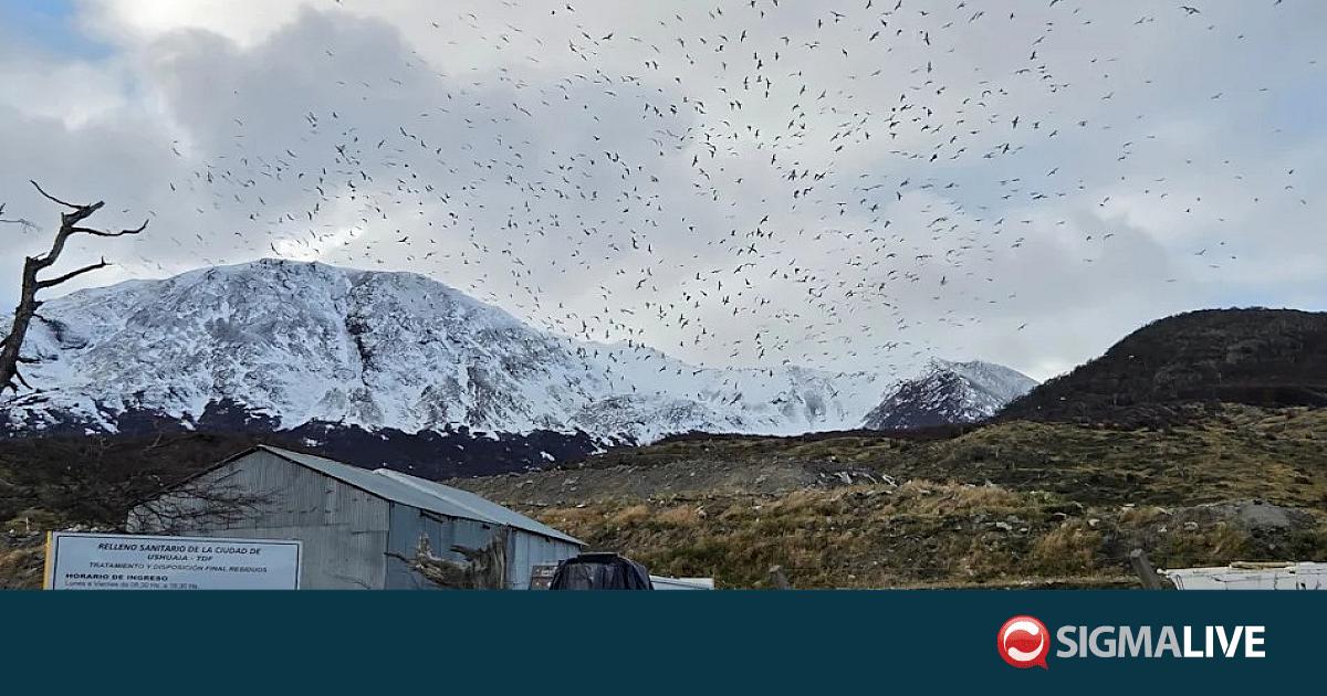 &laquo;&Tau;έ&lambda;&omicron;&sigmaf; &tau;&omicron;&upsilon; &Kappa;ό&sigma;&mu;&omicron;&upsilon;&raquo;: &Eta; &pi;ό&lambda;&eta;-&pi;ύ&lambda;&eta; &tau;&eta;&sigmaf; &Alpha;&nu;&tau;&alpha;&rho;&kappa;&tau;&iota;&kappa;ή&sigmaf; &sigma;&tau;&omicron; &mu;&iota;&kappa;&rho;&omicron;&sigma;&kappa;ό&pi;&iota;&omicron; &gamma;&iota;&alpha; &chi;&alpha;&nu;&tau;&alpha;ϊό