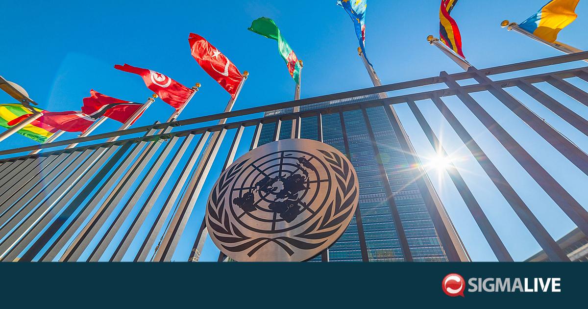 &Eta; &Tau;&omicron;&upsilon;&rho;&kappa;ί&alpha; &alpha;&pi;&omicron;&rho;&rho;ί&pi;&tau;&epsilon;&iota; &sigma;&tau;&omicron;&nu; &Omicron;&Eta;&Epsilon; &tau;&eta;&nu; &epsilon;&lambda;&lambda;&eta;&nu;&iota;&kappa;ή έ&nu;&sigma;&tau;&alpha;&sigma;&eta; &gamma;&iota;&alpha; &tau;&alpha; &laquo;&Tau;&omicron;&upsilon;&rho;&kappa;&iota;&kappa;ά &Sigma;&tau;&epsilon;&nu;ά&raquo;