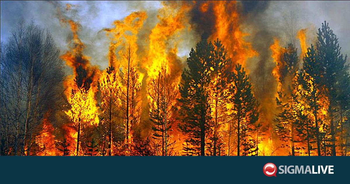 &Kappa;&lambda;ί&mu;&alpha;: &Phi;ό&beta;&omicron;&iota; &gamma;&iota;&alpha; &laquo;&iota;&delta;&iota;&alpha;ί&tau;&epsilon;&rho;&alpha; &delta;ύ&sigma;&kappa;&omicron;&lambda;&eta;&raquo; &chi;&rho;&omicron;&nu;&iota;ά ό&sigma;&omicron;&nu; &alpha;&phi;&omicron;&rho;ά &tau;&iota;&sigmaf; &pi;&upsilon;&rho;&kappa;&alpha;&gamma;&iota;έ&sigmaf;,