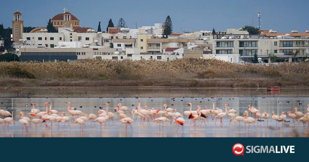 &Delta;ή&mu;&omicron;&sigmaf; &Pi;&alpha;&rho;&alpha;&lambda;&iota;&mu;&nu;ί&omicron;&upsilon;: &Tau;&iota; &lambda;έ&epsilon;&iota; &gamma;&iota;&alpha; &tau;&eta;&nu; &alpha;&pi;&omicron;&mu;ά&kappa;&rho;&upsilon;&nu;&sigma;&eta; &nu;&epsilon;&rho;&omicron;ύ &alpha;&pi;ό &tau;&eta; &lambda;ί&mu;&nu;&eta;