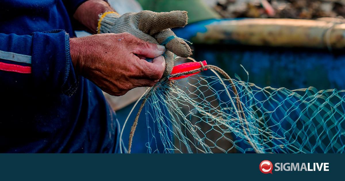 &Upsilon;&pi;&omicron;&upsilon;&rho;&gamma;&iota;&kappa;ό: Έ&kappa;&tau;&alpha;&kappa;&tau;&eta; &sigma;&tau;ή&rho;&iota;&xi;&eta; &euro;50.000 &sigma;&tau;&omicron;&upsilon;&sigmaf; &alpha;&lambda;&iota;&epsilon;ί&sigmaf; &pi;&omicron;&tau;&alpha;&mu;&omicron;ύ &Lambda;&iota;&omicron;&pi;&epsilon;&tau;&rho;ί&omicron;&upsilon;