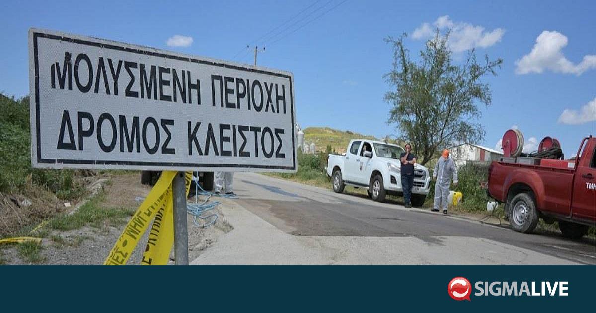 &Epsilon;&upsilon;&kappa;&alpha;&iota;&rho;ί&alpha; &sigma;&tau;&omicron;&nu; &delta;&iota;ά&lambda;&omicron;&gamma;&omicron; &delta;ί&nu;&omicron;&upsilon;&nu; &omicron;&iota; &kappa;&tau;&eta;&nu;&omicron;&tau;&rho;ό&phi;&omicron;&iota;-&Sigma;&upsilon;&nu;ά&nu;&tau;&eta;&sigma;&eta; &tau;&eta; &Delta;&epsilon;&upsilon;&tau;έ&rho;&alpha; &mu;&epsilon; &Pi;&alpha;&nu;&alpha;&gamma;&iota;ώ&tau;&omicron;&upsilon;