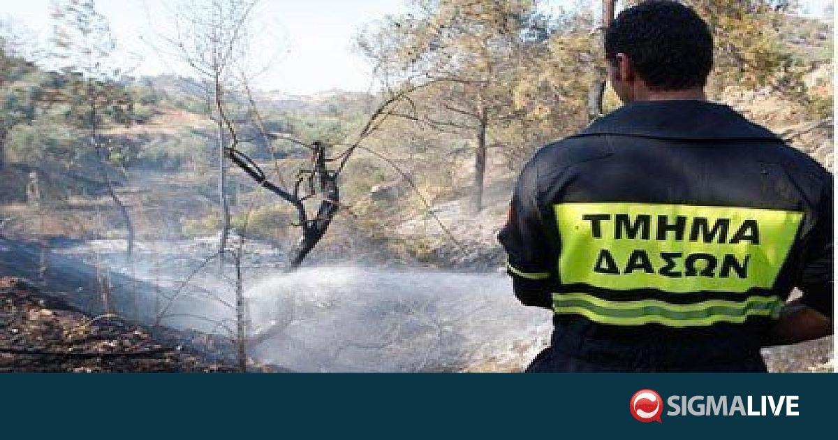&Phi;&omicron;&iota;&tau;&eta;&tau;έ&sigmaf; &Delta;&alpha;&sigma;&iota;&kappa;&omicron;ύ &Kappa;&omicron;&lambda;&epsilon;&gamma;ί&omicron;&upsilon; &sigma;&upsilon;&nu;έ&delta;&rho;&alpha;&mu;&alpha;&nu; &sigma;&tau;&eta;&nu; &kappa;&alpha;&tau;ά&sigma;&beta;&epsilon;&sigma;&eta; &pi;&upsilon;&rho;&kappa;&alpha;&gamma;&iota;ά&sigmaf; &sigma;&tau;&omicron;&nu; &Pi;&rho;ό&delta;&rho;&omicron;&mu;&omicron;