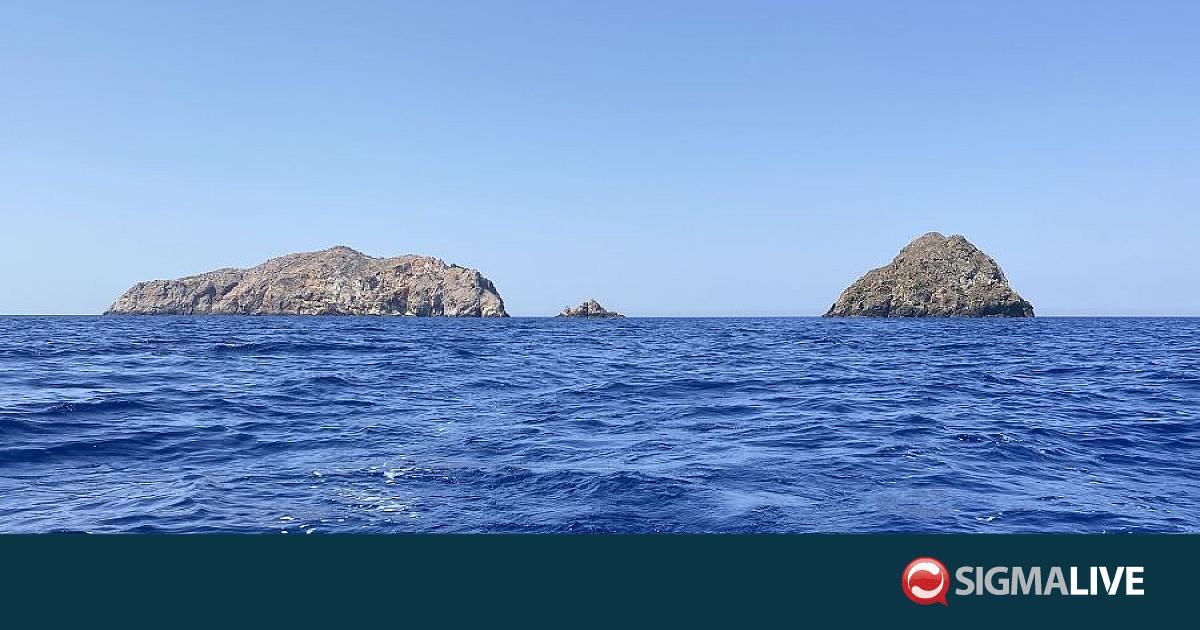 &Tau;&omicron;&upsilon;&rho;&kappa;&iota;&kappa;ό &Upsilon;&Pi;&Alpha;&Mu;: &Sigma;&tau;&eta;&nu; &tau;&epsilon;&lambda;&iota;&kappa;ή &epsilon;&upsilon;&theta;&epsilon;ί&alpha; &omicron; &nu;ό&mu;&omicron;&sigmaf;-&pi;&lambda;&alpha;ί&sigma;&iota;&omicron; &gamma;&iota;&alpha; &tau;&iota;&sigmaf; &theta;&alpha;&lambda;ά&sigma;&sigma;&iota;&epsilon;&sigmaf; &zeta;ώ&nu;&epsilon;&sigmaf;