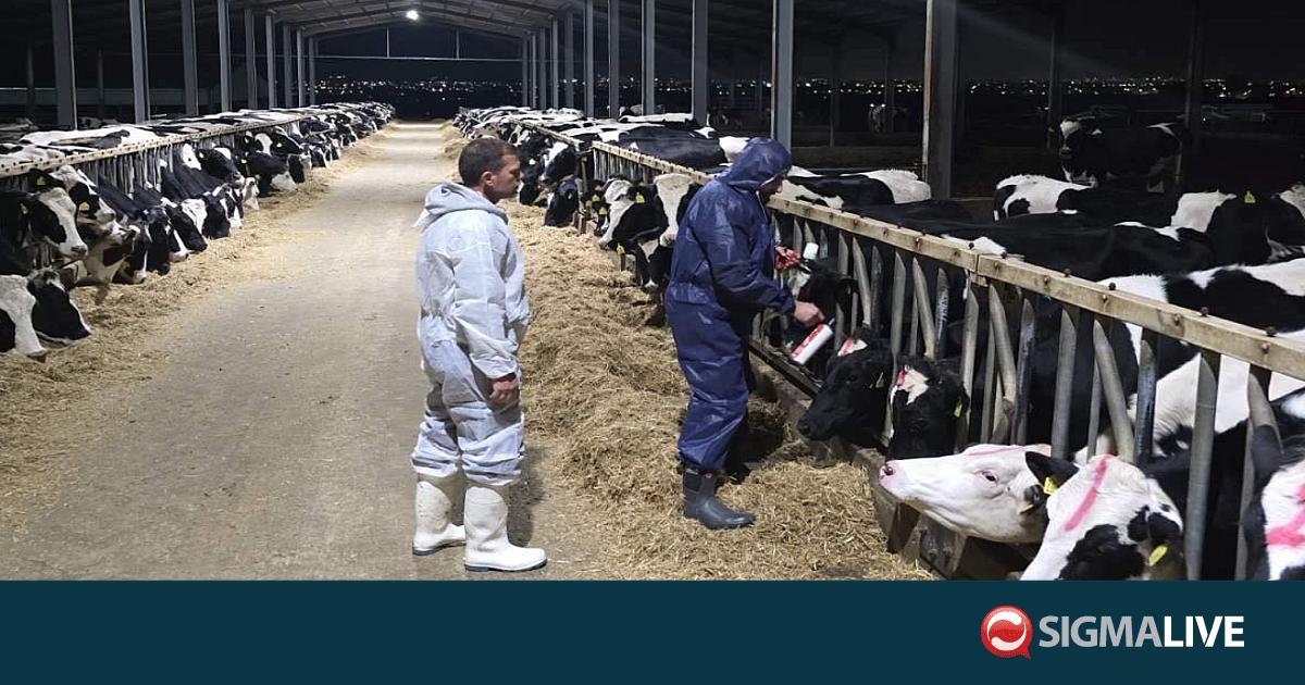 &Kappa;&tau;&eta;&nu;&omicron;&tau;&rho;ό&phi;&omicron;&iota; &zeta;&eta;&tau;&omicron;ύ&nu; ά&nu;&omicron;&iota;&gamma;&mu;&alpha; &phi;&alpha;&rho;&mu;ώ&nu; &kappa;&alpha;&iota; &epsilon;&pi;&alpha;&nu;&epsilon;&xi;έ&tau;&alpha;&sigma;&eta; &tau;&eta;&sigmaf; &pi;&omicron;&sigma;ό&sigma;&tau;&omega;&sigma;&eta;&sigmaf; &sigma;&tau;&omicron; &chi;&alpha;&lambda;&lambda;&omicron;ύ&mu;&iota;