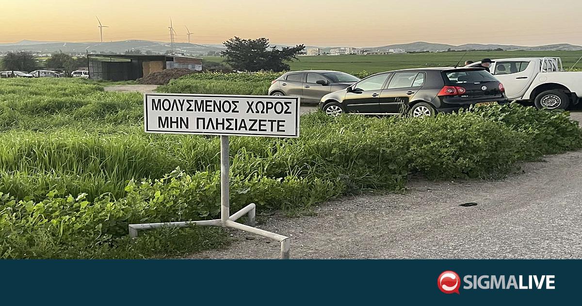&Alpha;&phi;&theta;ώ&delta;&eta;&sigmaf;: &Kappa;&rho;&omicron;ύ&sigma;&mu;&alpha;&tau;&alpha; &sigma;&epsilon; ά&lambda;&lambda;&epsilon;&sigmaf; &tau;&rho;&epsilon;&iota;&sigmaf; &mu;&omicron;&nu;ά&delta;&epsilon;&sigmaf; &mu;&epsilon; 4000 &alpha;&iota;&gamma;&omicron;&pi;&rho;ό&beta;&alpha;&tau;&alpha;