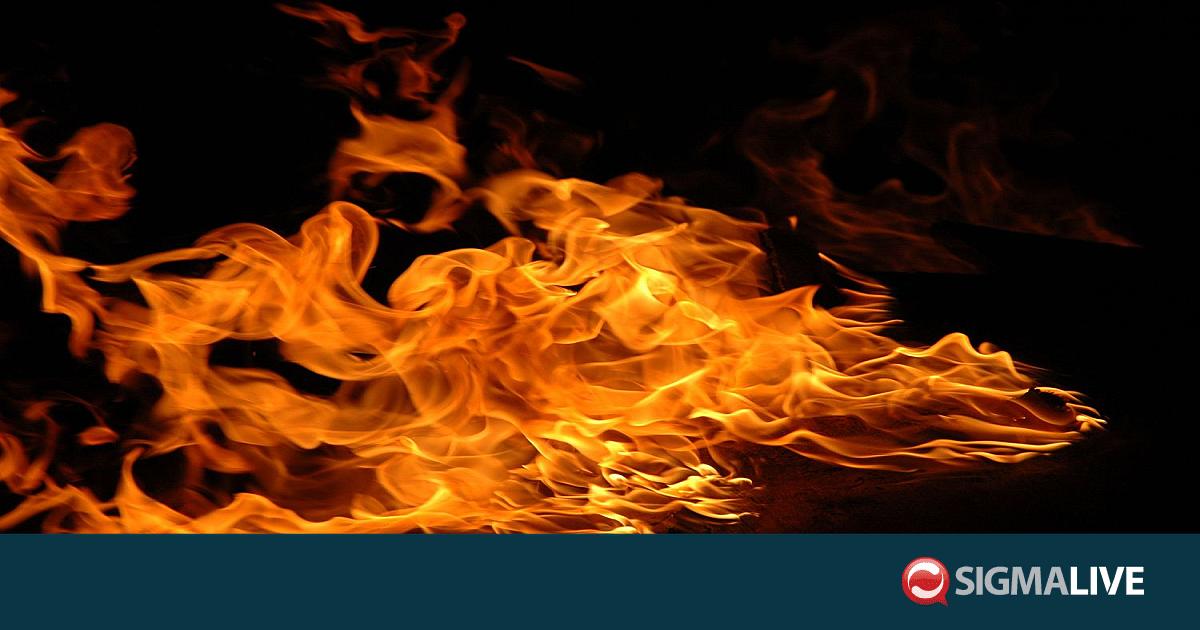 &Beta;&epsilon;&nu;&epsilon;&zeta;&omicron;&upsilon;έ&lambda;&alpha;: 6 &tau;&rho;&alpha;&upsilon;&mu;&alpha;&tau;ί&epsilon;&sigmaf; &alpha;&pi;ό &phi;&omega;&tau;&iota;ά &sigma;&epsilon; &pi;&lambda;&alpha;&tau;&phi;ό&rho;&mu;&alpha; &epsilon;&pi;&epsilon;&xi;&epsilon;&rho;&gamma;&alpha;&sigma;ί&alpha;&sigmaf; &Phi;&Alpha; (&Beta;&Iota;&Nu;&Tau;&Epsilon;&Omicron;)