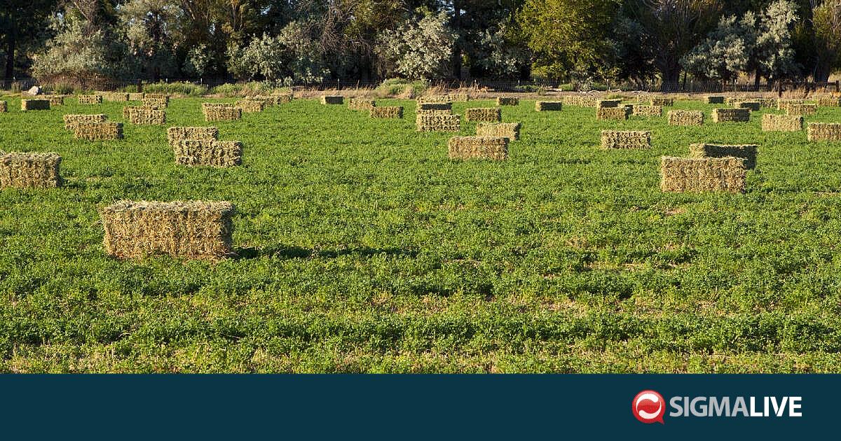 &Pi;&alpha;&rho;&alpha;&gamma;&omega;&gamma;&omicron;ί &alpha;&nu;&omicron;&iota;&kappa;&tau;ώ&nu; &kappa;&alpha;&lambda;&lambda;&iota;&epsilon;&rho;&gamma;&epsilon;&iota;ώ&nu;: &Pi;&rho;&omicron;&epsilon;&iota;&delta;&omicron;&pi;&omicron;&iota;&omicron;ύ&nu; &mu;&epsilon; &kappa;&iota;&nu;&eta;&tau;&omicron;&pi;&omicron;&iota;ή&sigma;&epsilon;&iota;&sigmaf; &lambda;ό&gamma;&omega; &nu;&epsilon;&rho;&omicron;ύ