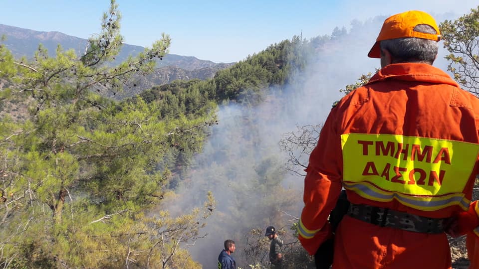 Νέα φωτιά στη Λάρνακα: Κινητοποιήθηκαν 4 πυροσβεστικά - Κάηκαν αποκαλάμες