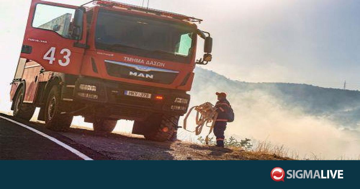 &Alpha;&pi;&alpha;&gamma;&omicron;&rho;&epsilon;ύ&epsilon;&tau;&alpha;&iota; &alpha;&upsilon;&sigma;&tau;&eta;&rho;ά &tau;&omicron; ά&nu;&alpha;&mu;&mu;&alpha; &phi;&omega;&tau;&iota;ά&sigmaf; &sigma;&epsilon; &kappa;&rho;&alpha;&tau;&iota;&kappa;ό &delta;ά&sigma;&omicron;&sigmaf; &tau;&omicron;&nu;ί&zeta;&epsilon;&iota; &tau;&omicron; &Tau;&mu;ή&mu;&alpha; &Delta;&alpha;&sigma;ώ&nu;