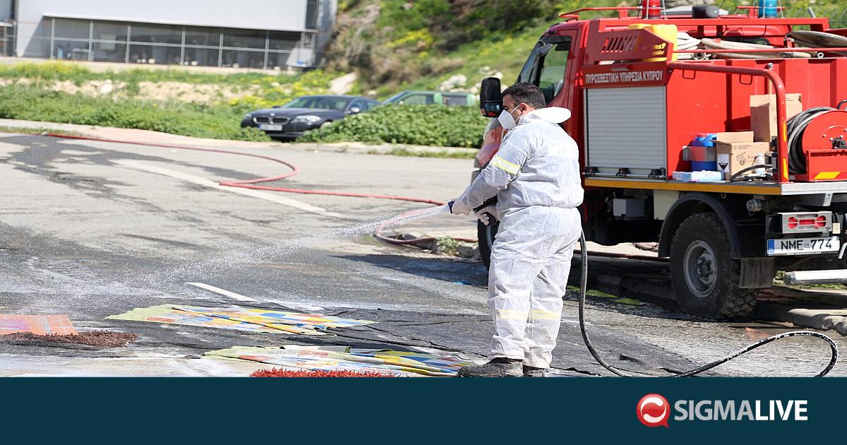 &Kappa;&rho;ί&sigma;&iota;&mu;&eta; &sigma;ύ&sigma;&kappa;&epsilon;&psi;&eta; &Mu;&alpha;&rho;ί&alpha;&sigmaf; &Pi;&alpha;&nu;&alpha;&gamma;&iota;ώ&tau;&omicron;&upsilon; &mu;&epsilon; &kappa;&tau;&eta;&nu;&omicron;&tau;&rho;ό&phi;&omicron;&upsilon;&sigmaf; &gamma;&iota;&alpha; &tau;&omicron;&nu; &alpha;&phi;&theta;ώ&delta;&eta; &pi;&upsilon;&rho;&epsilon;&tau;ό