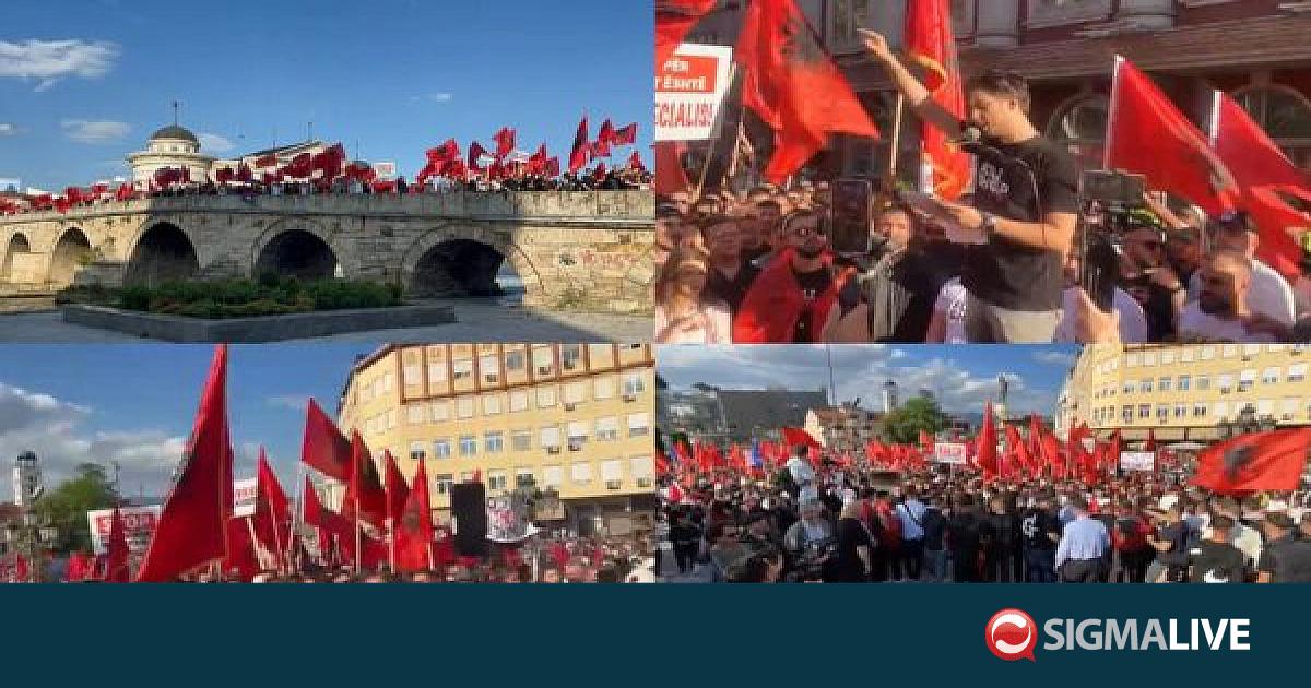 &Sigma;&kappa;ό&pi;&iota;&alpha;: &Alpha;&lambda;&beta;&alpha;&nu;&omicron;ί &phi;&omicron;&iota;&tau;&eta;&tau;έ&sigmaf; &delta;&iota;&alpha;&delta;ή&lambda;&omega;&sigma;&alpha;&nu; &gamma;&iota;&alpha; &tau;&eta; &chi;&rho;ή&sigma;&eta; &tau;&eta;&sigmaf; &alpha;&lambda;&beta;&alpha;&nu;&iota;&kappa;ή&sigmaf; &gamma;&lambda;ώ&sigma;&sigma;&alpha;&sigmaf;
