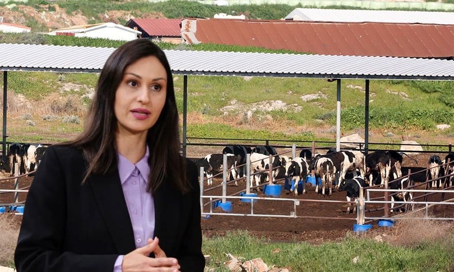 &Mu;&alpha;&rho;ί&alpha; &Pi;&alpha;&nu;&alpha;&gamma;&iota;ώ&tau;&omicron;&upsilon;: &Tau;&alpha; &epsilon;&pi;&iota;&delta;&eta;&mu;&iota;&omicron;&lambda;&omicron;&gamma;&iota;&kappa;ά &delta;&epsilon;&delta;&omicron;&mu;έ&nu;&alpha; &theta;&alpha; &kappa;&rho;ί&nu;&omicron;&upsilon;&nu; &tau;&eta; &chi;&alpha;&lambda;ά&rho;&omega;&sigma;&eta; &tau;&omega;&nu; &mu;έ&tau;&rho;&omega;&nu;