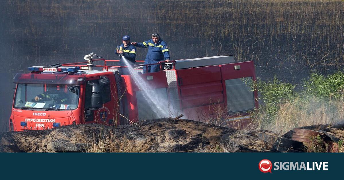 &Xi;έ&sigma;&pi;&alpha;&sigma;&epsilon; &phi;&omega;&tau;&iota;ά &sigma;&epsilon; &gamma;&epsilon;&omega;&rho;&gamma;&iota;&kappa;ό &mu;&eta;&chi;ά&nu;&eta;&mu;&alpha; &sigma;&tau;&eta; &nu;&epsilon;&kappa;&rho;ή &zeta;ώ&nu;&eta;