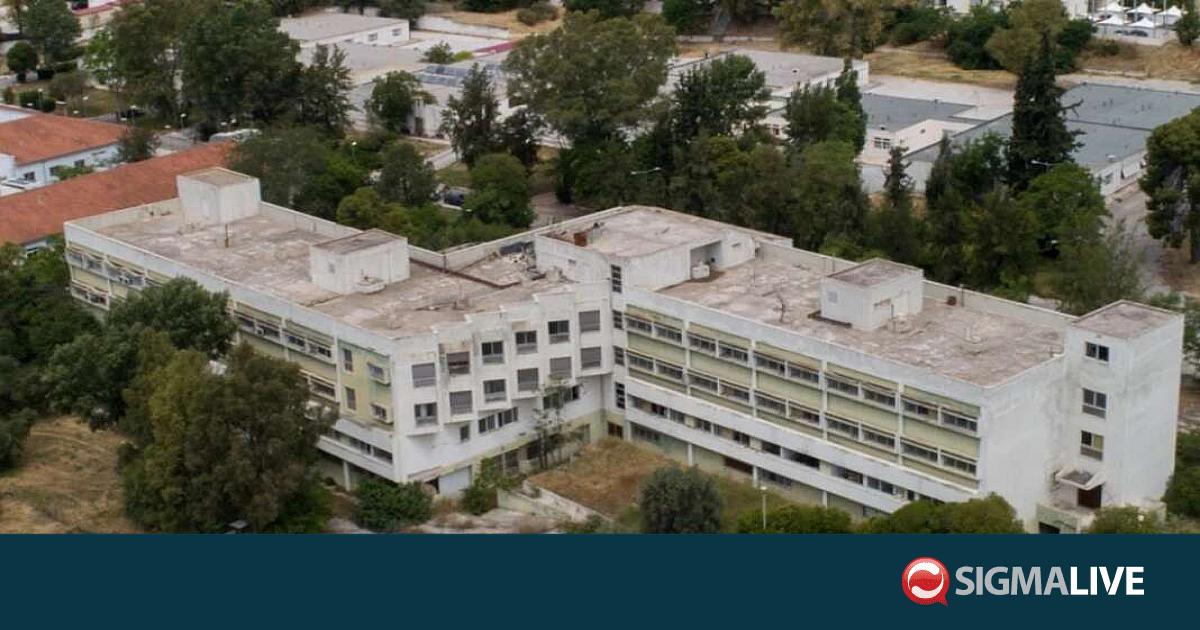 &Delta;&alpha;&phi;&nu;ί: &Tau;&rho;ό&phi;&iota;&mu;&omicron;&sigmaf; &sigma;&tau;&rho;&alpha;&gamma;&gamma;ά&lambda;&iota;&sigma;&epsilon; &tau;&omicron;&nu; &sigma;&upsilon;&gamma;&kappa;ά&tau;&omicron;&iota;&kappa;ό &tau;&omicron;&upsilon;