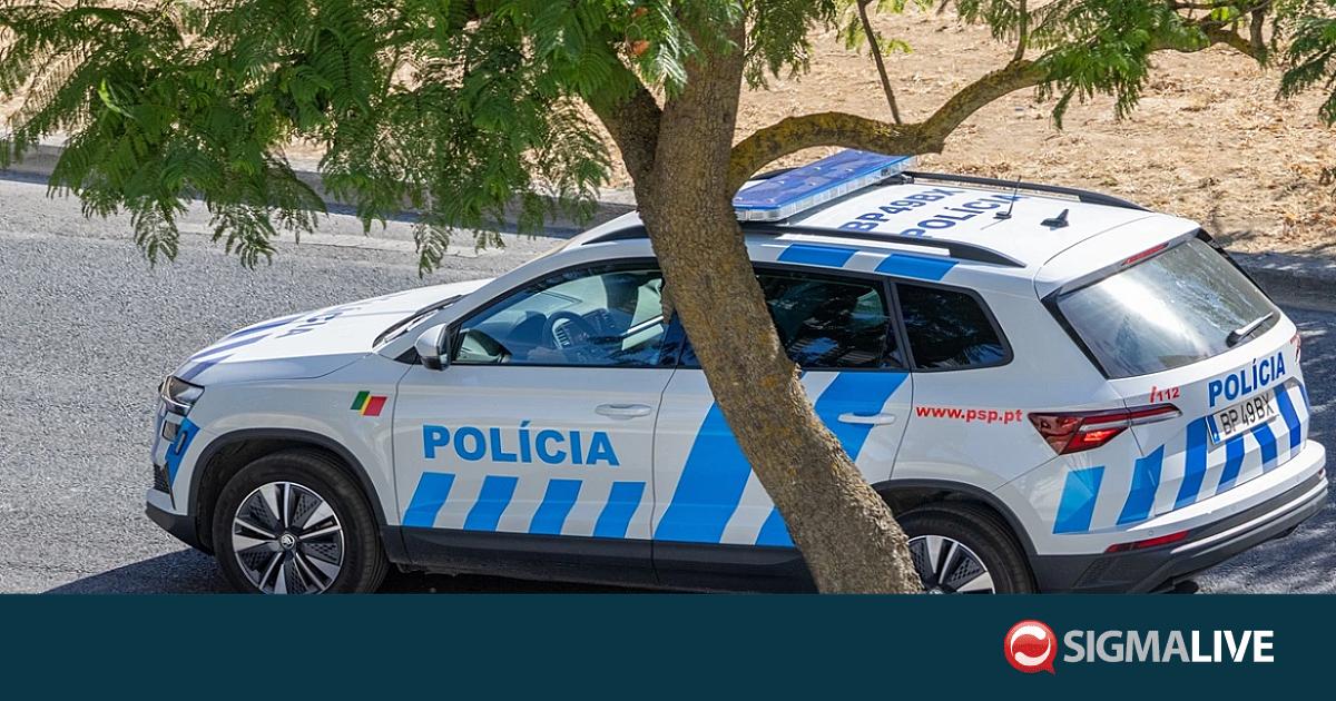 &Mu;&upsilon;&sigma;&tau;ή&rho;&iota;&omicron; &sigma;&tau;&eta;&nu; &Pi;&omicron;&rho;&tau;&omicron;&gamma;&alpha;&lambda;ί&alpha;: &Delta;ύ&omicron; &alpha;&nu;ή&lambda;&iota;&kappa;&alpha; &pi;&alpha;&iota;&delta;&iota;ά &pi;&epsilon;&rho;&iota;&phi;έ&rho;&omicron;&nu;&tau;&alpha;&nu; &mu;ό&nu;&alpha; &sigma;&epsilon; &alpha;&upsilon;&tau;&omicron;&kappa;/&delta;&rho;&omicron;&mu;&omicron;