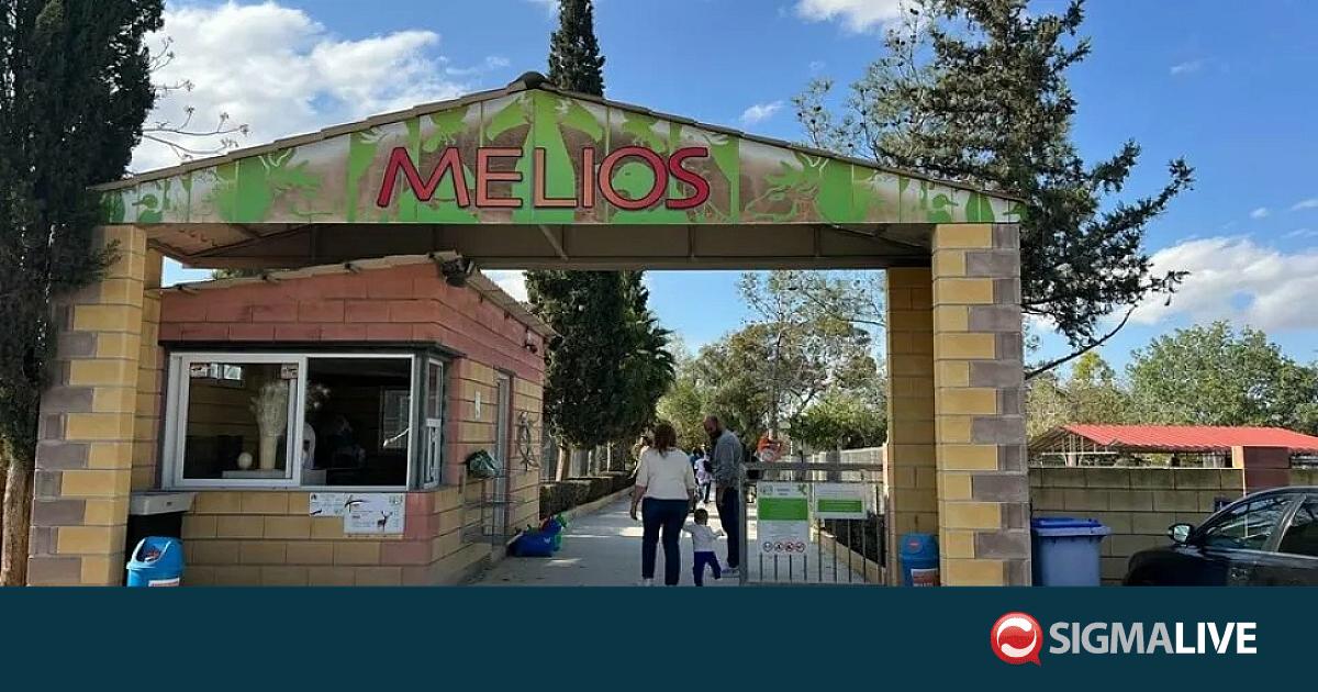 &Tau;&omicron; &Epsilon;&phi;&epsilon;&tau;&epsilon;ί&omicron; &epsilon;&pi;&iota;&kappa;ύ&rho;&omega;&sigma;&epsilon; &pi;&rho;&omega;&tau;ό&delta;&iota;&kappa;&eta; &alpha;&pi;ό&phi;&alpha;&sigma;&eta; &kappa;&alpha;&tau;ά &tau;&omicron;&upsilon; &iota;&delta;&iota;&omicron;&kappa;&tau;ή&tau;&eta; &tau;&omicron;&upsilon; Melios Zoo